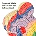 Human Brain Model for Neuroscience, Brain Model Labeled with Study Guide, Anatomy Model for Science Education Study Display