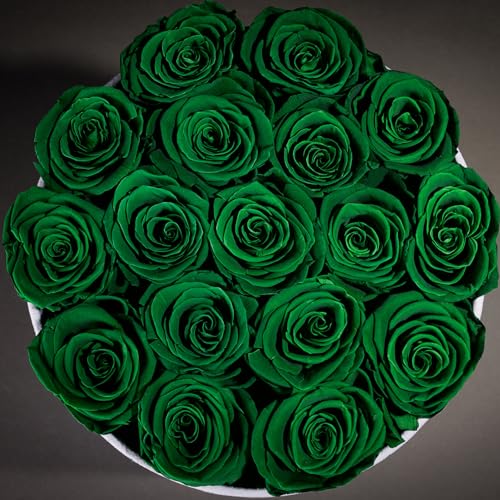17 Flowers in a Luxury Suede Box, Birthday Gifts for Women, Preserved Flowers, Mothers Day Roses Gift for Mom, Dark Geen