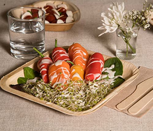 Dress Your Yum Palm Leaf Plates (20 Pcs) - 8 Inch Square & 6.5 Inch Heart (10 Of Each) - Dinner And Dessert Disposable Compostable Plates For Party #TOP5