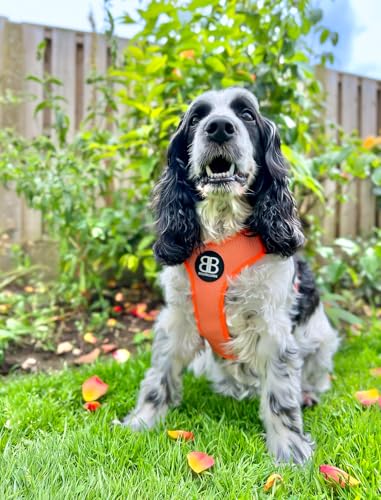 BullyBillows Active Light Hundegeschirr mit Griff | Premium-Geschirr mit gepolstertem Innenfutter & hochreflektierendem Design | Geeignet für alle Hunderassen | Orange |Extra Groß