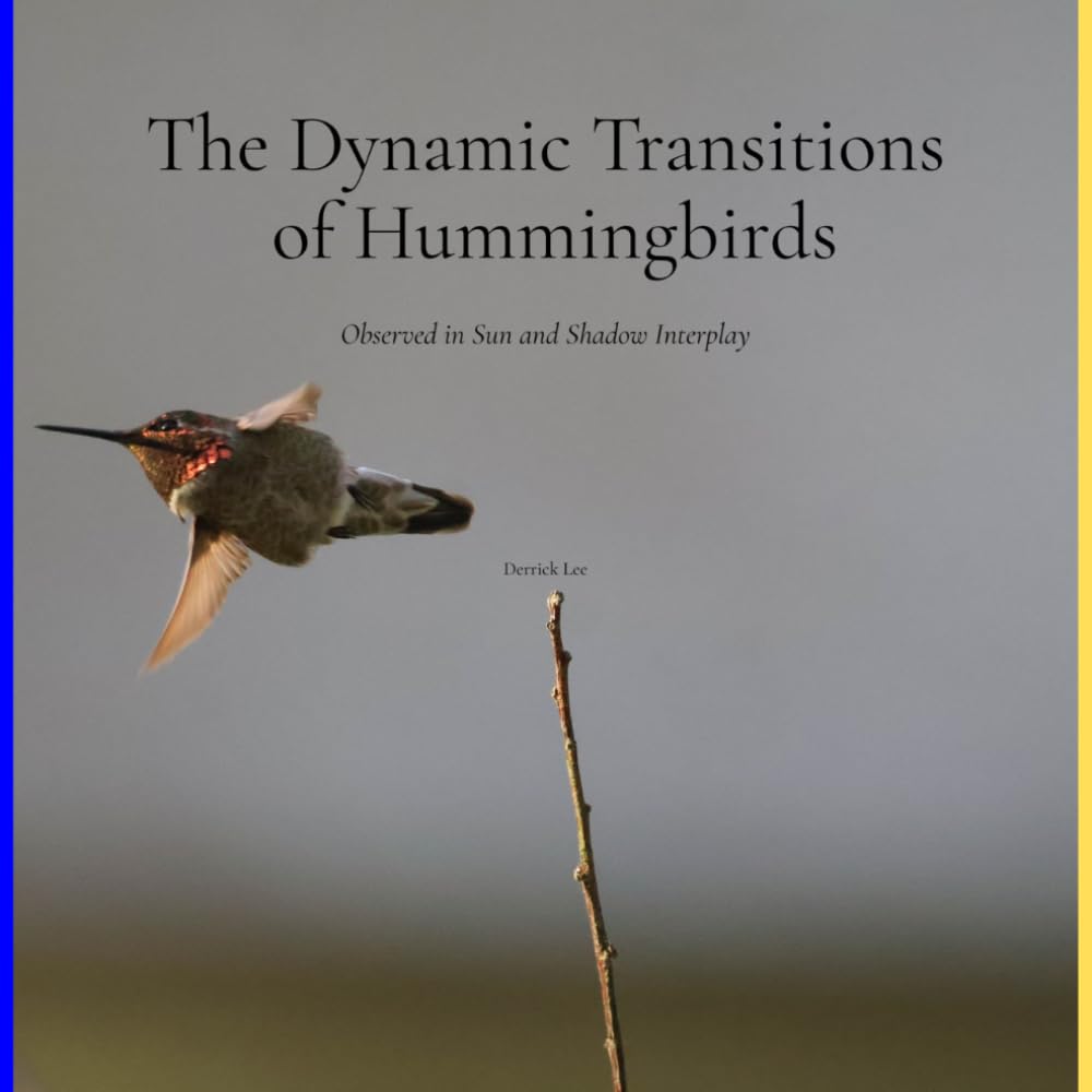 The Dynamic Transitions of Hummingbirds: Observed in Sun and Shadow Interplay (Dynamic Hummingbirds)