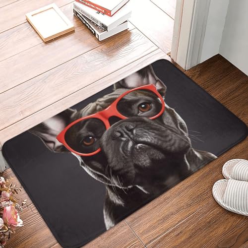YNCATXZ Zerbino con bulldog francese, 40 x 60 cm, antiscivolo, per interni ed esterni, lavabile, zerbino per ingresso e bagno, in flanella assorbente