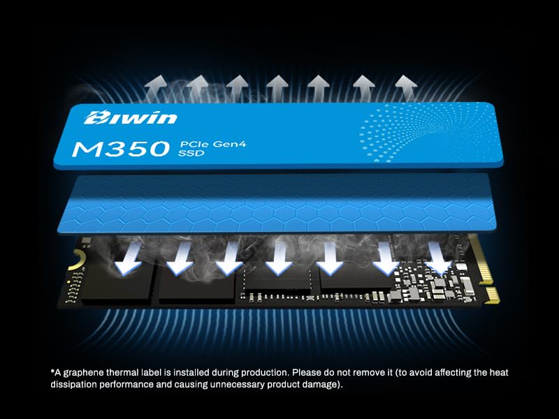 Hard Disk Biwin M350 2 TB SSD
