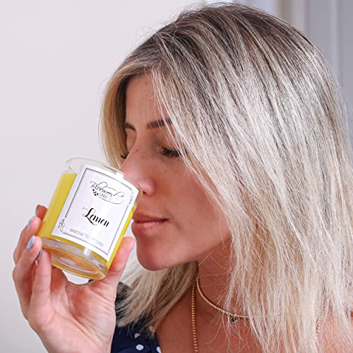 Bluewood Candle Co. Luxury Diy Candle Making Kit For Adults Beginners - Complete Diy Kit For Scented Candles - Quality Ingredients With 100% Natural Soy Wax - Great Gift - Fun And Easy Activity #TOP6