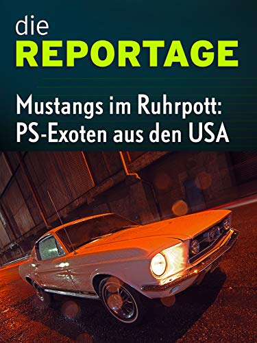 Die Reportage: Mustangs im Ruhrpott - PS-Exoten aus den USA