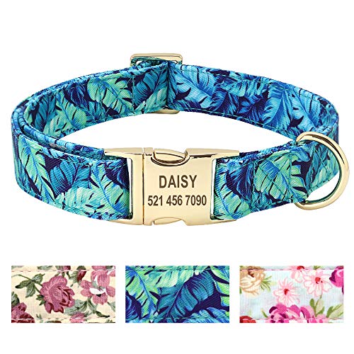Beirui Collier pour Chien personnalisé avec Plaque gravée Motif Floral – Collier de qualité supérieure avec Boucle en Acier Inoxydable - Fleur Bleue Collier Chien,L(14-23.5')