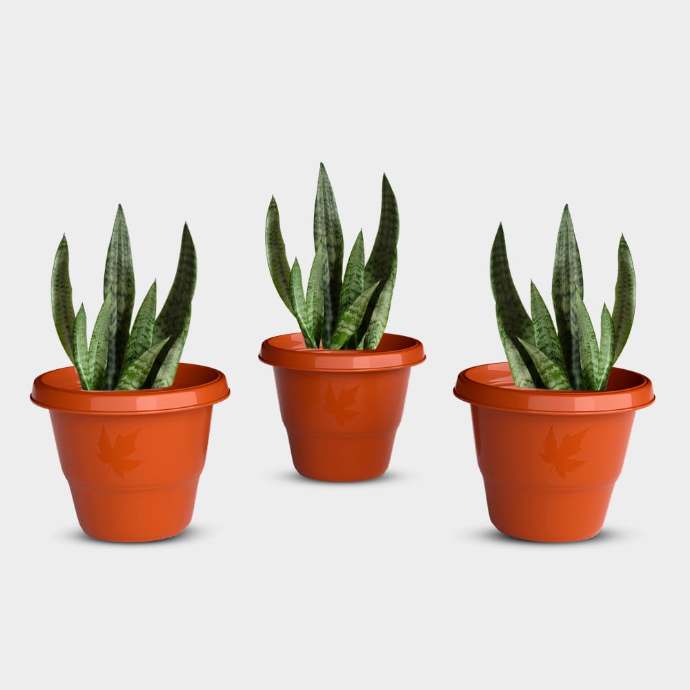 YUCCABE Italia Shera Flower Pots - Set of 3 -30 YUCCABE Italia Shera Flower Pots - Set of 3 -30