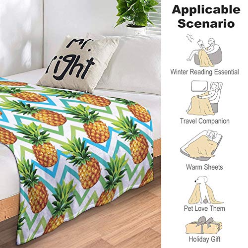 Chevron Tropical Pineapple Pattern Throw Blanket Ultra Luxurious Air-Conditioned Quilts Thick Blankets For Kids Adults, 40 X 50 Inches #TOP4