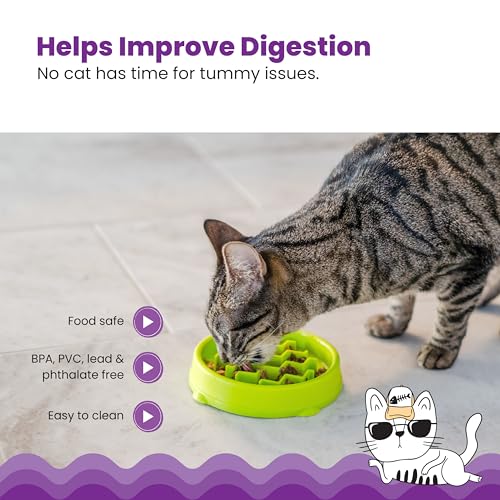 Catstages Kitty Slow Feeder Cat Bowl, Green - Image 6
