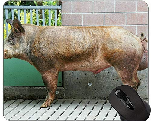 Alfombrilla de ratón Antideslizante de Pintura de Cerdo, Alfombrilla de ratón