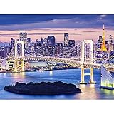 大人のためのジグソーパズル2000ピース-東京、日本の美しい夜景ジグソーパズル-教育とリラクゼーションのためのカラフルなおもちゃ70x100cm