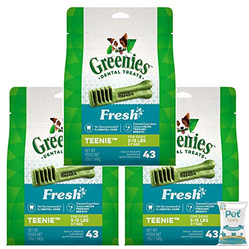 Greenies (3 Pack) Natural Dental Dog Treats Teenie Fresh Mint 12 oz with 10ct Pet Faves Wipes