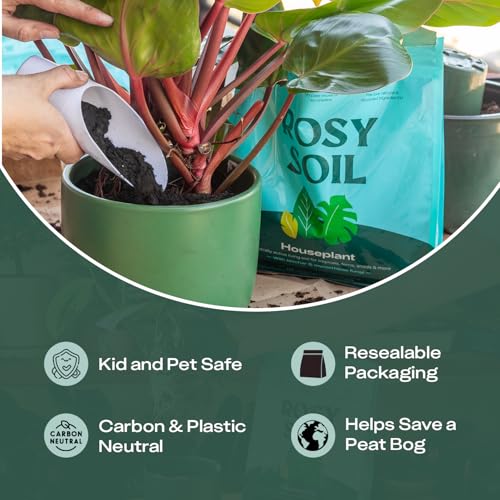 Image of Rosy Soil Plant Parent Essentials Gift Box, Indoor Plant Kit | Gift for Plant Lovers, Gardening Tool Kit, with Peat-Free Houseplant Soil, Terracotta Watering Bulb, Soil Scoop, Plant Brush