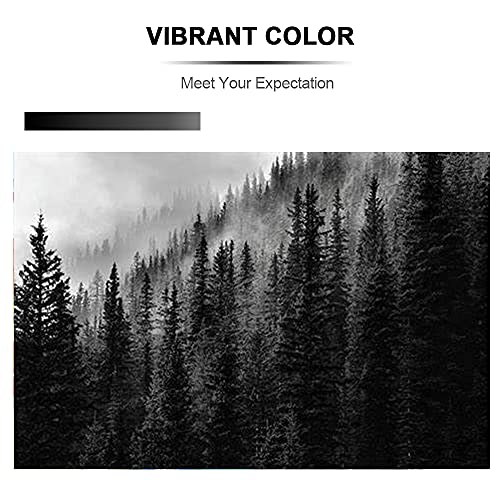 Mony-Remanufacturado-Cartuchos-de-Tinta-Reemplazo-para-HP-301-XL-301XL-2-Negro-Compatible-con-HP-Deskjet-2540-1510-3050-2050-1512-1050-Envy-4500-5530-4502-Officejet-4630-2620-Impresoras