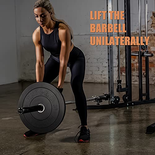 Pinroyal Bumper Plates 10Lb Set, Olympic Weight Plates With 2 Inch Stainless Steel Hub, Rubber Barbell Weights To Protect Floor, Smooth Strength Training Plates To Protect Bar From Scratches, Pair #TOP4