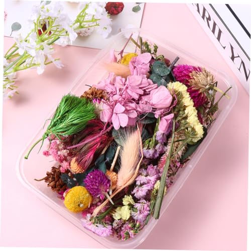 Materiales de Flores Secas Naturales Unomor para Manualidades miniatura 3