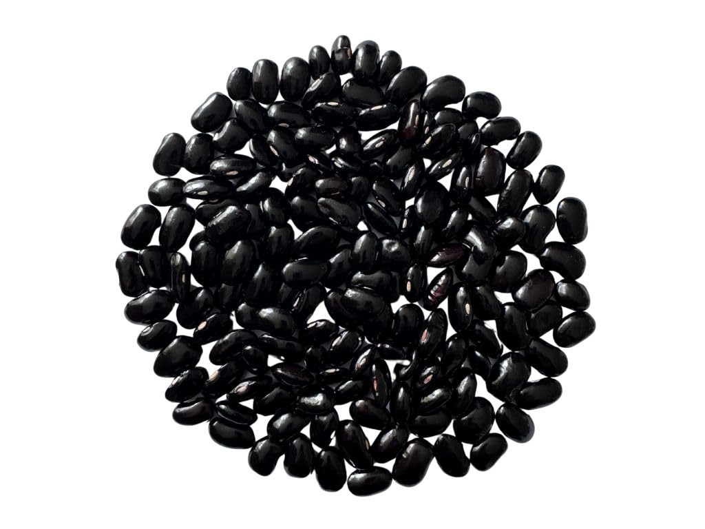 Black Ayocote Beans (Frijol Ayocote Negro), Premium Heirloom – Whole Dried - Bulk 10 lb – Product of Mexico.