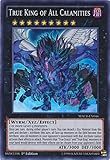 True King of All Calamities - MACR-EN046 - Super Rare - 1st Edition - Maximum Crisis (1st Edition)