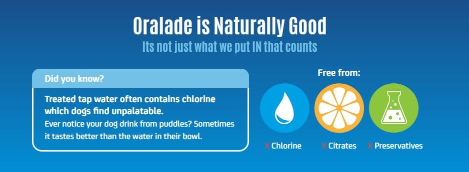 Oralade Advance GI + Oral Rehydration Support | 6 x 500 ml | Flüssiges Diät-Ergänzungsfuttermittel für Hunde und Katzen | Für die mikroenterale Ernährung