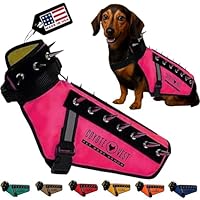 Sheripet Coyote Proof Dog Vest Harness, Anti-hawk Vest, Hawk Deterrent with Spikes and Rivets to Protect Your Pets from Other Aggressive Dogs, Coyotes, Owls and Hawks