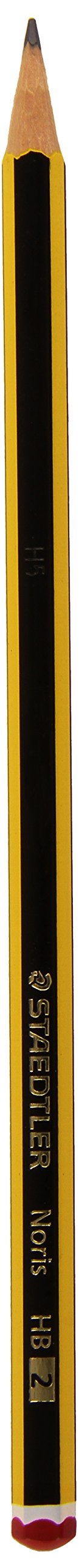 STAEDTLER 203221 - Pack de 120 lápices triangulares (120-2 120-144)