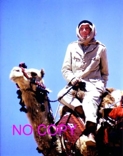 Amazon Co Jp 大きな写真 アラビアのロレンス ラクダのピーター オトゥール ホーム キッチン Amazon Co Jp 大きな写真 アラビアのロレンス ラクダのピーター オトゥール ホーム キッチン