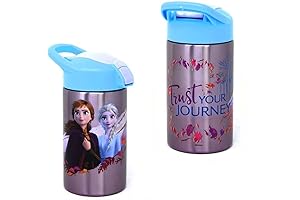 Inc. Frozen 2 Insulated Stainless Steel Kids' Water Bottle