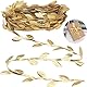 10M Streifen Geschenkband, Goldfarbenes Blätterband Gold Blattbesatzband Geschenk Luftschlangen, Künstliche Pflanzen Bänder Girlande Blattband Blatt Stirnbänder Blätter Band für DIY Party (Gold)