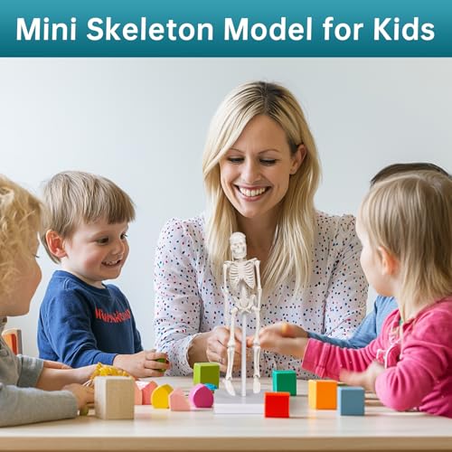 Image of Mini Skeleton Model, 7.8 inch Small Anatomy Skeleton Figure, Movable Arms and Legs, Human Body Model with Base, Human Bones for Teaching Tool, Decoration