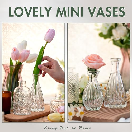 image for Arme 20 Pcs Bud Vase Set, Mini Vases for Flowers, Small Vintage Glass 