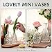 Arme 20 Pcs Bud Vase Set, Mini Vases for Flowers, Small Vintage Glass Vase for Centerpieces, Cute Clear Bud Vases for Home Flower Wedding Decorations