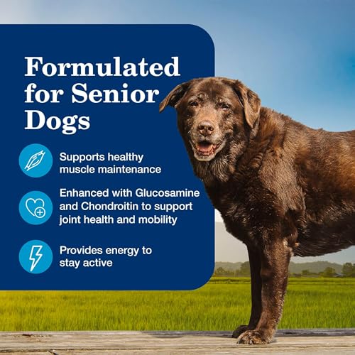 Image of Blue Buffalo Homestyle Recipe Variety Pack Wet Dog Food, 12.5 oz, 6 ct