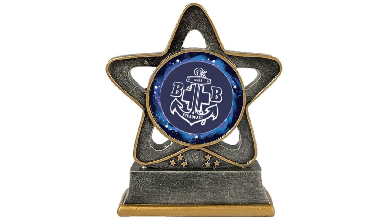 TroShow Boys Brigade Trophy Star 110mm Antique Silver and Gold Resin Award Free Engraving RST004AS-CL