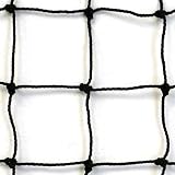 JFN #18 Twisted Knotted Nylon Baseball Backstop Net, 15' x 30'