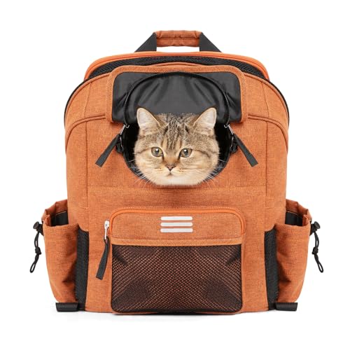 ROCKBROS ]ԗppLA LpobNpbNLA&obNpbN ^ybgp - ʋCASA֗Ȏ[Aő14|h̃ybgɃtBbgAe21LACG[