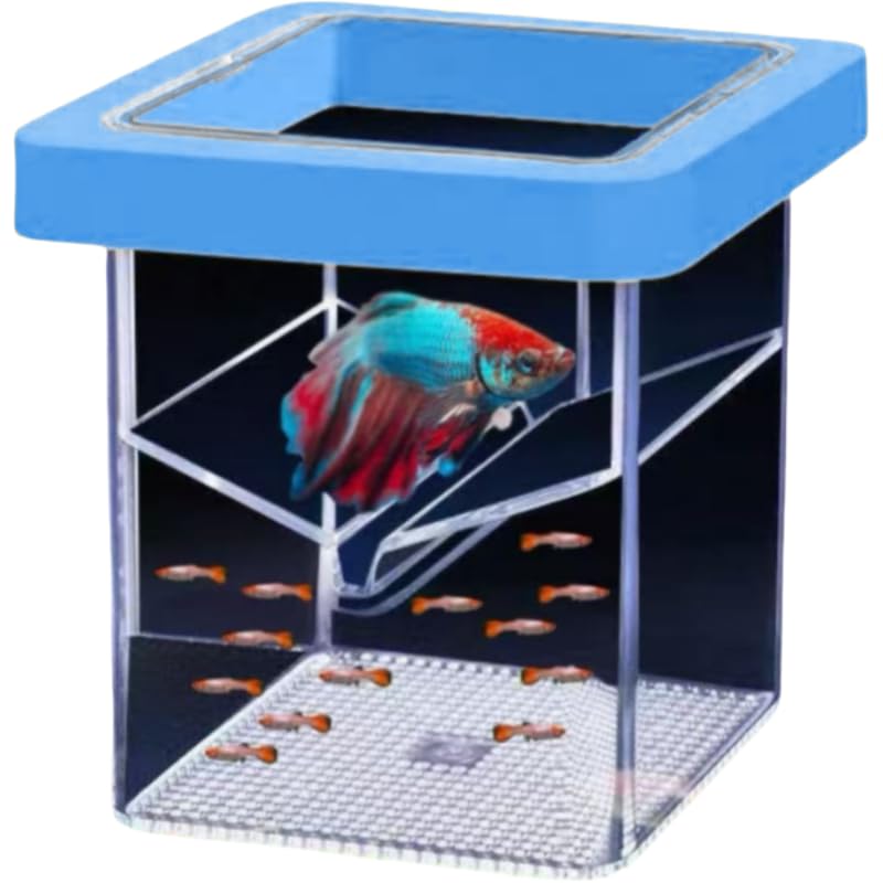 Floating Fish Tank Breeder Box - Transparent Thickened Aquarium Isolation Box for Fish Breeding Easy to Install and Space-Saving (Blue)