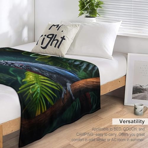 Couverture polaire confortable plaid doux en flannel imprimé pour voyage