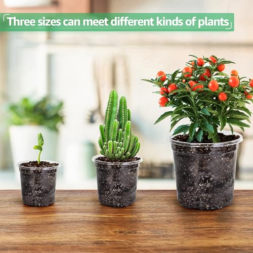 Save 60% on Bluepro 36-Pack Clear Nursery Pots - Variety Sizes