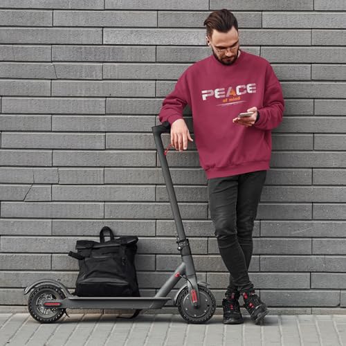 Image of Men Regular Fit Crew-Neck Sweatshirt