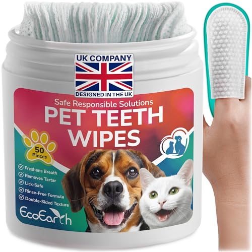 EcoEarth Premium Teeth Cleaning Wipes for Dogs & Cats - 50 Pcs - Pet Dental Care Finger Pads for Fresh Breath & Oral Hygiene - Embossed Pattern & Nano Plastic-Dotting to Remove Plaque & Tartar