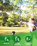 JOFLVA Flirtstock für Hunde, Teaser-Hund, ausziehbarer Teaserstab, interaktives Outdoor-Spielzeug, für kleine mittelgroße Hunde, Training, Spielübung.