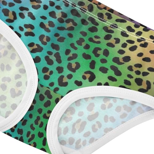 Cotton Toddler Girls Underwear Leopard Print Rainbow Gradient Little Girl Panties Durable Kids Briefs Undies 2t4