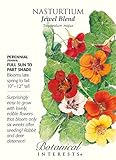 Jewel Blend Nasturtium Seeds - 3 g - Tropaeolum