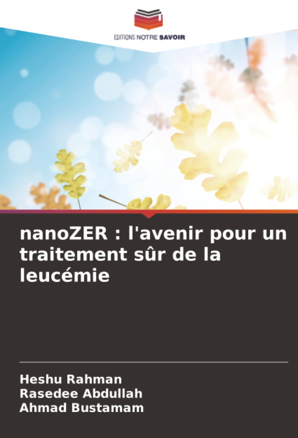 nanoZER : l'avenir pour un traitement sûr de la leucémie