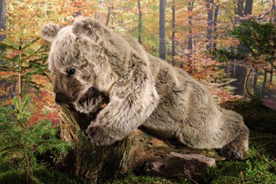 Teddys Rothenburg Kösen, Grizzlybär Julia, 51 cm, stehend, Graubraun, Plüschbär