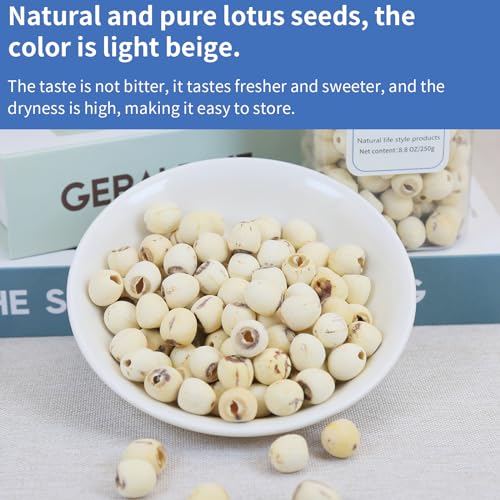 DOZO Natural Dried Lotus Seeds 17.6oz/500g Lotus Seed for Eating Core Removal Dermabrasion Premium Lotus Seed Baking＆Tea 莲子 白莲子干
