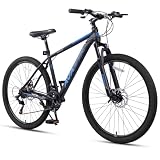 AVASTA Thrax Mountain Bike