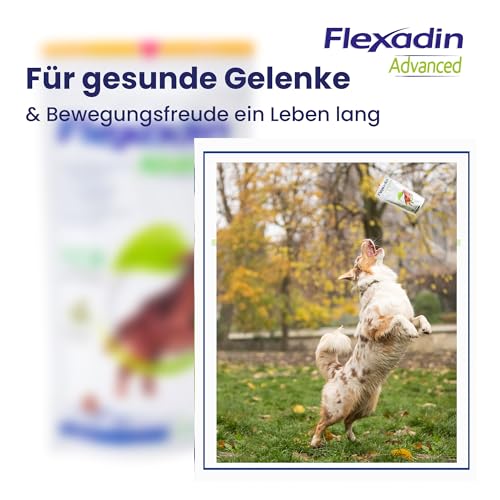 FLEXADIN ADVANCED® Hund | Für die Gelenkgesundheit | undenaturiertes Kollagen Typ II & Boswellia – 60 Gelenkleckerli