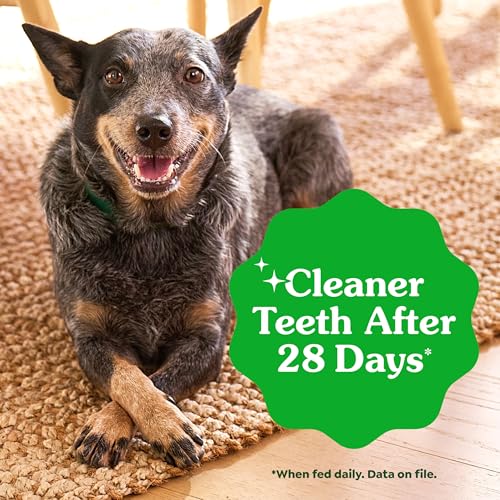 Greenies Puppy Teenie Natural Dental Dog Treats, Original Flavor, 22 Count - image 4