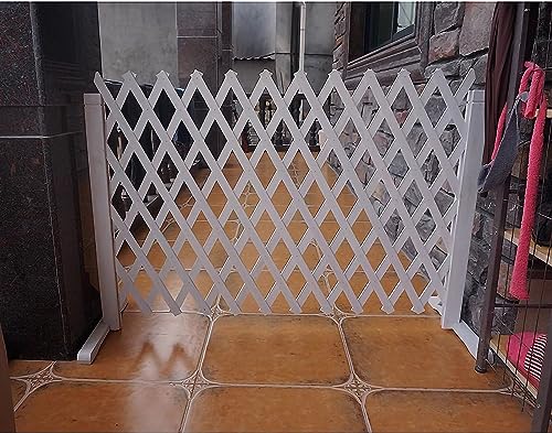 Solution de décoration de jardin rétractable contre le vis-à-vis - 6